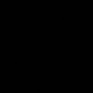 Meet your Posher, Bella